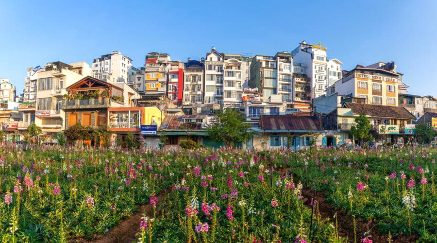 Dalat bölgesinde çeşitli araba kiralama seçenekleri sunuyoruz.